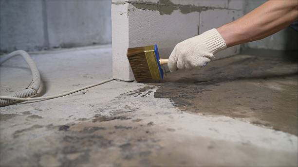 Top rated local Basement Waterproofing specialists in Montpelier Station, VA